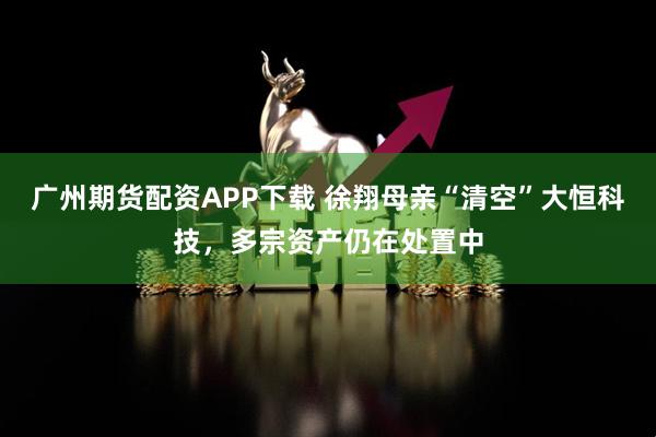 广州期货配资APP下载 徐翔母亲“清空”大恒科技，多宗资产仍在处置中