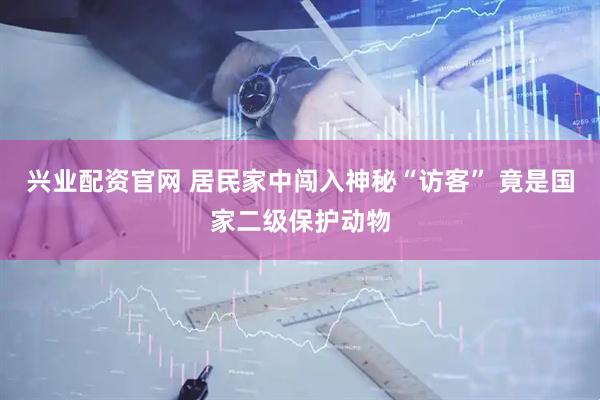 兴业配资官网 居民家中闯入神秘“访客” 竟是国家二级保护动物