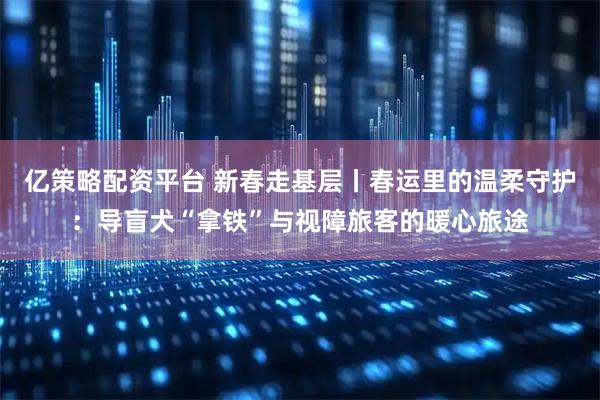 亿策略配资平台 新春走基层丨春运里的温柔守护：导盲犬“拿铁”与视障旅客的暖心旅途