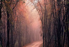 配资平台查询网:牛股股票交流群-8月股价涨幅超82%的东芯股份今日复牌 “反路演”引投资者戏称“东伟达”来了